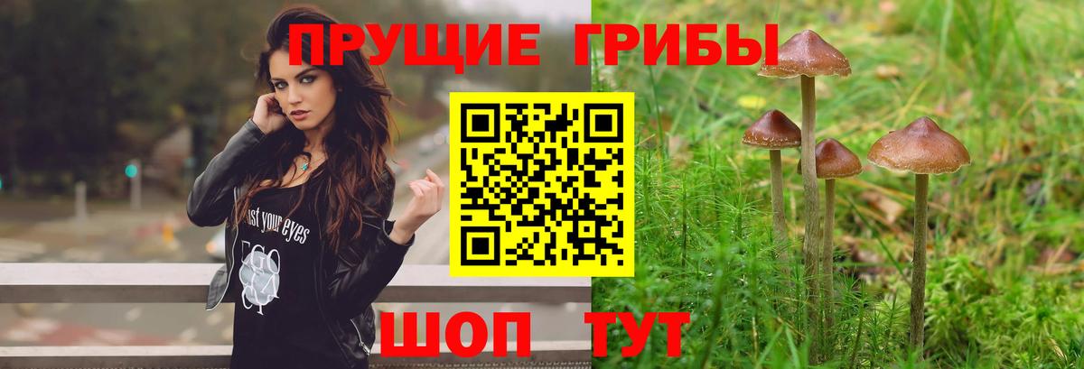 Псилоцибиновые грибы прущие грибы Троицк